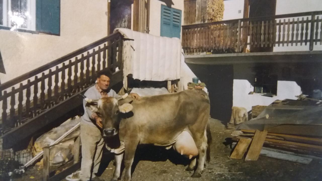 Majon De La Nona Hotel Pozza di Fassa Luaran gambar