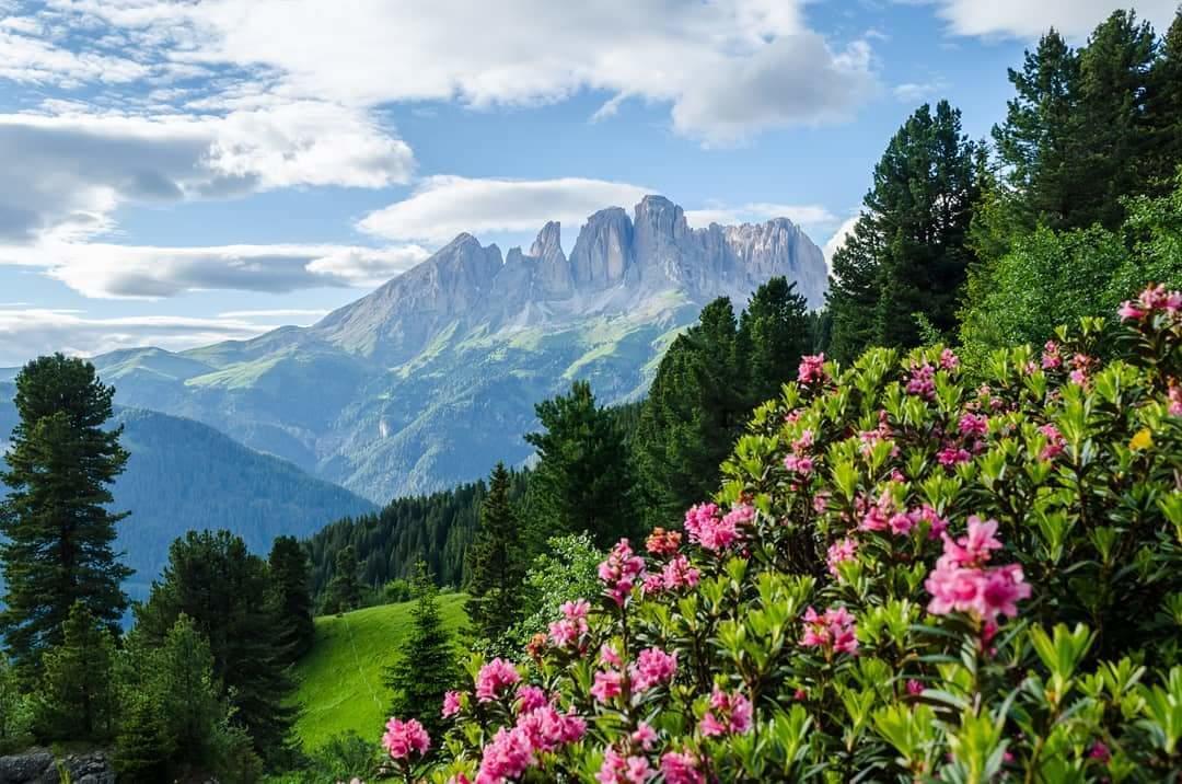 Majon De La Nona Hotel Pozza di Fassa Luaran gambar